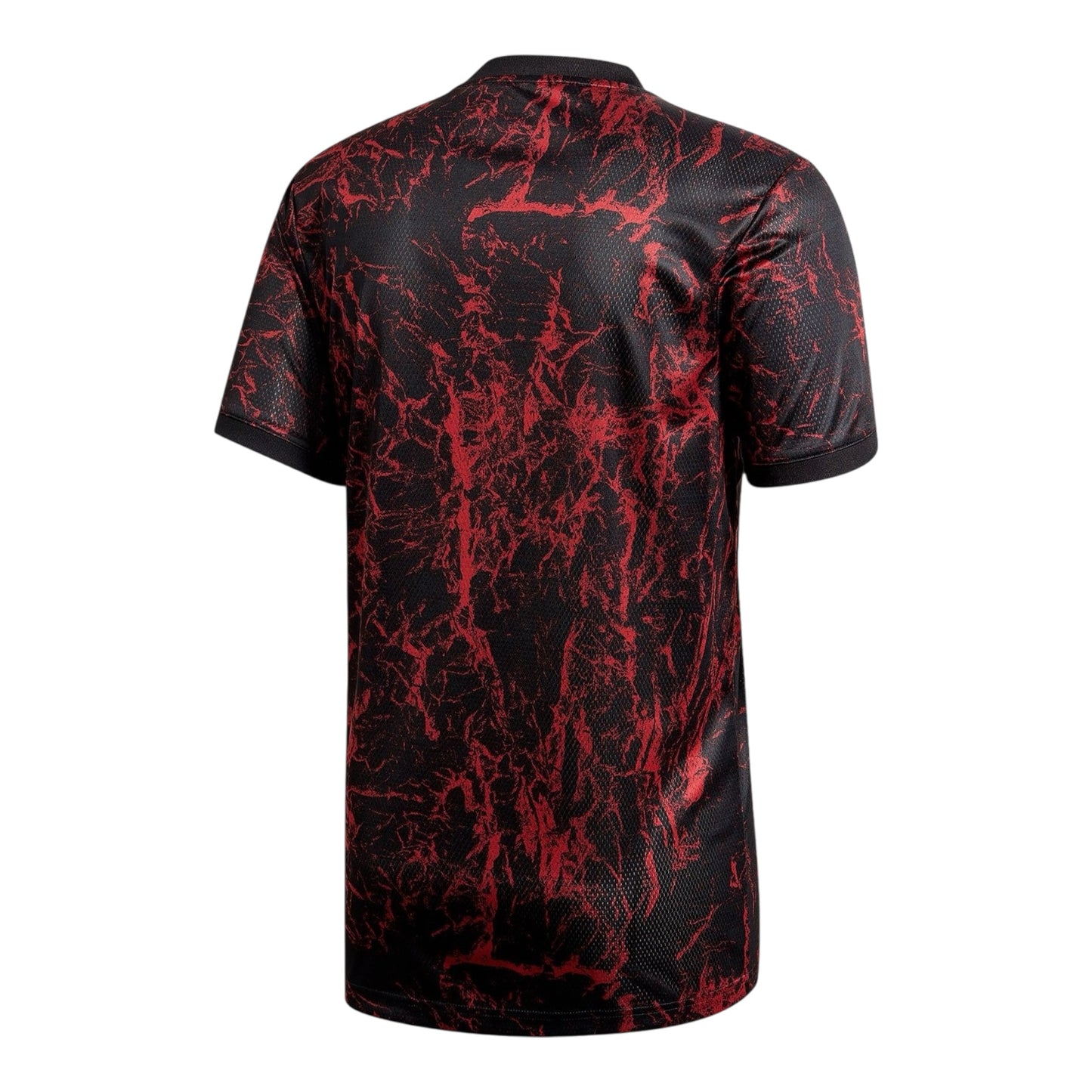 Camiseta España 2021 prematch