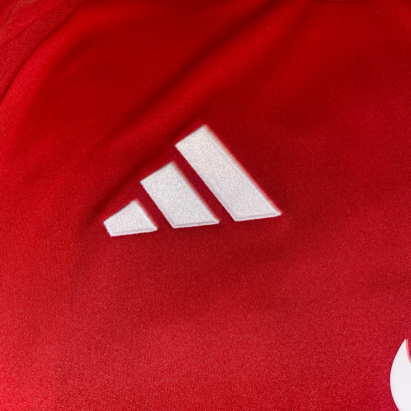 Camiseta Manchester United 24/25 Mainoo local