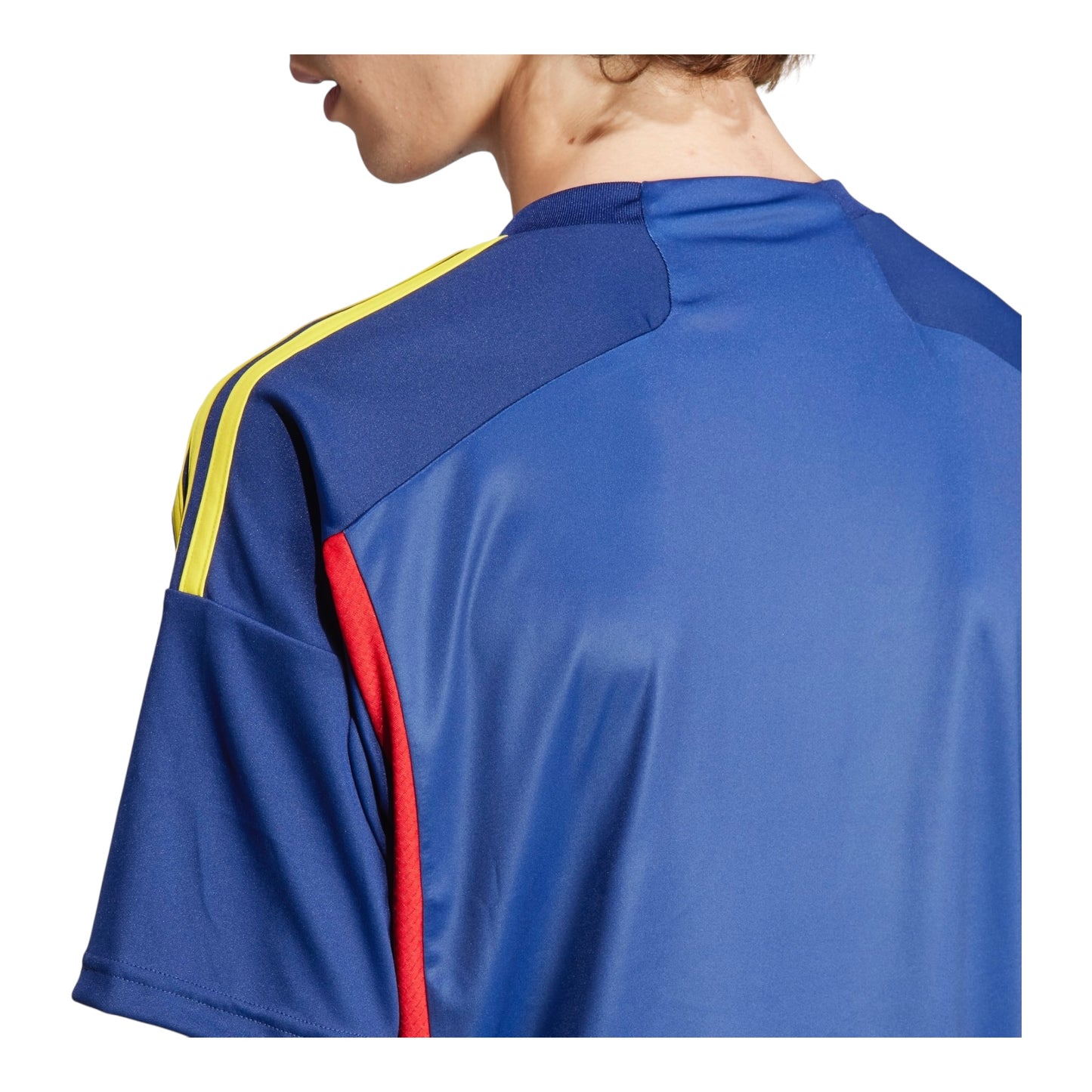 Camiseta Olympique Lyon 23/24 alternativa