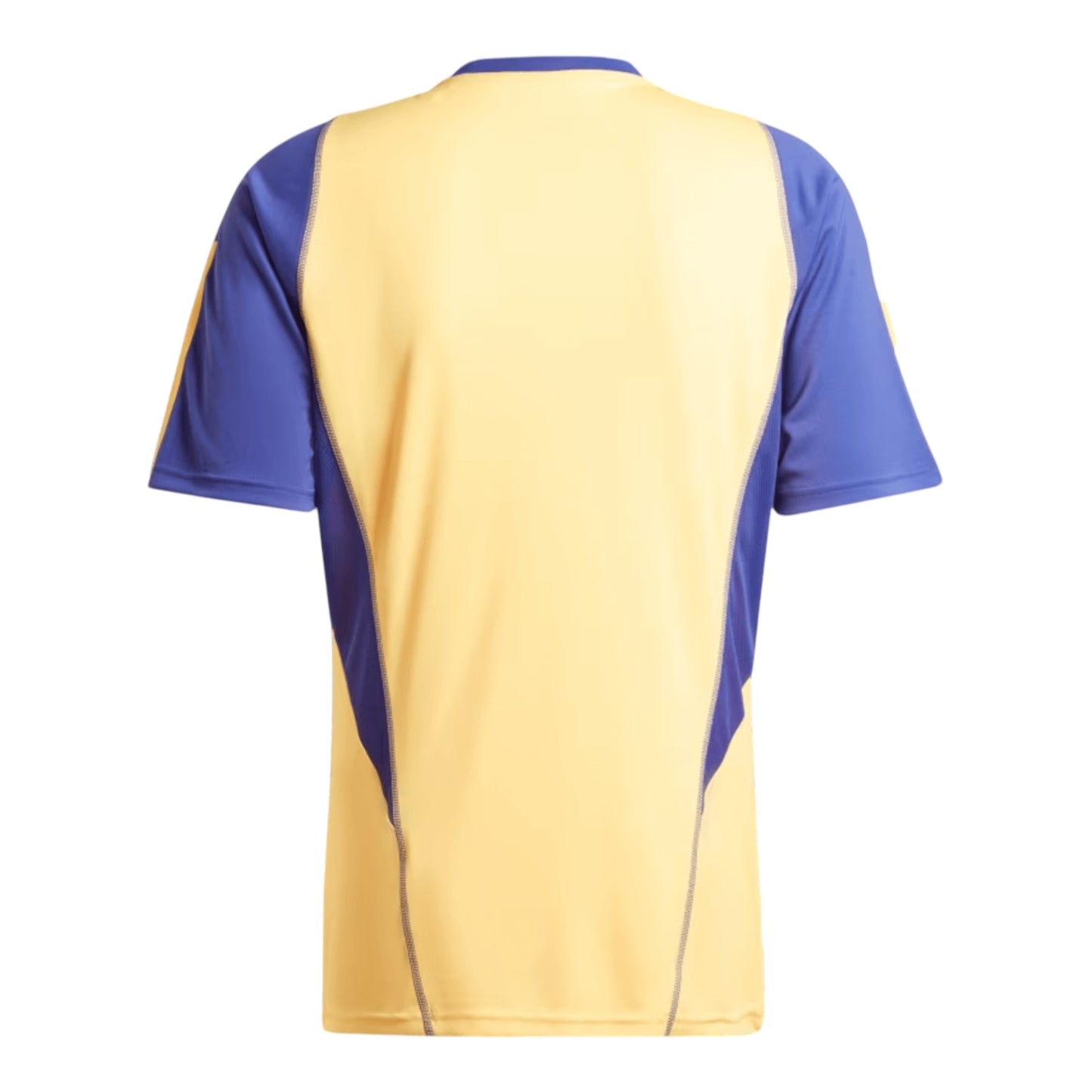 Camiseta real Madrid 23/24 entreno