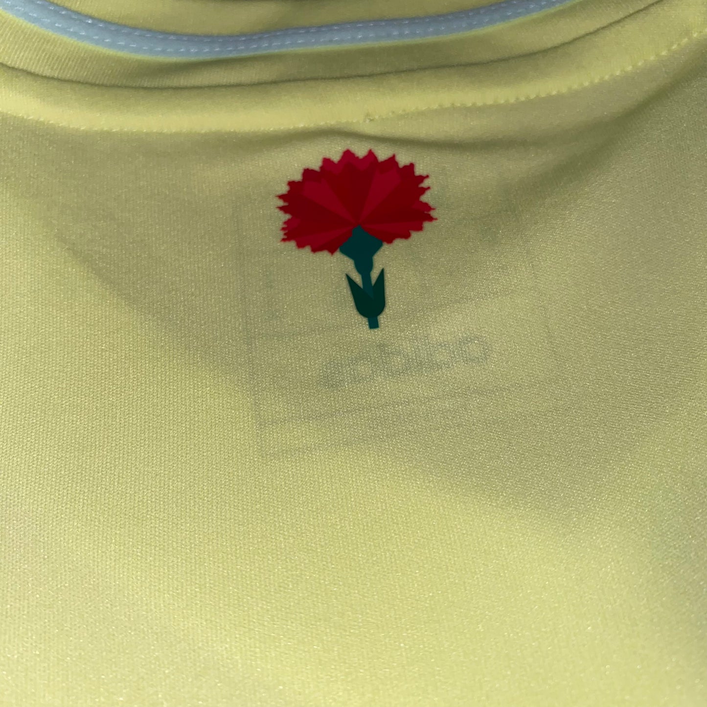 España 2024 Visitante M