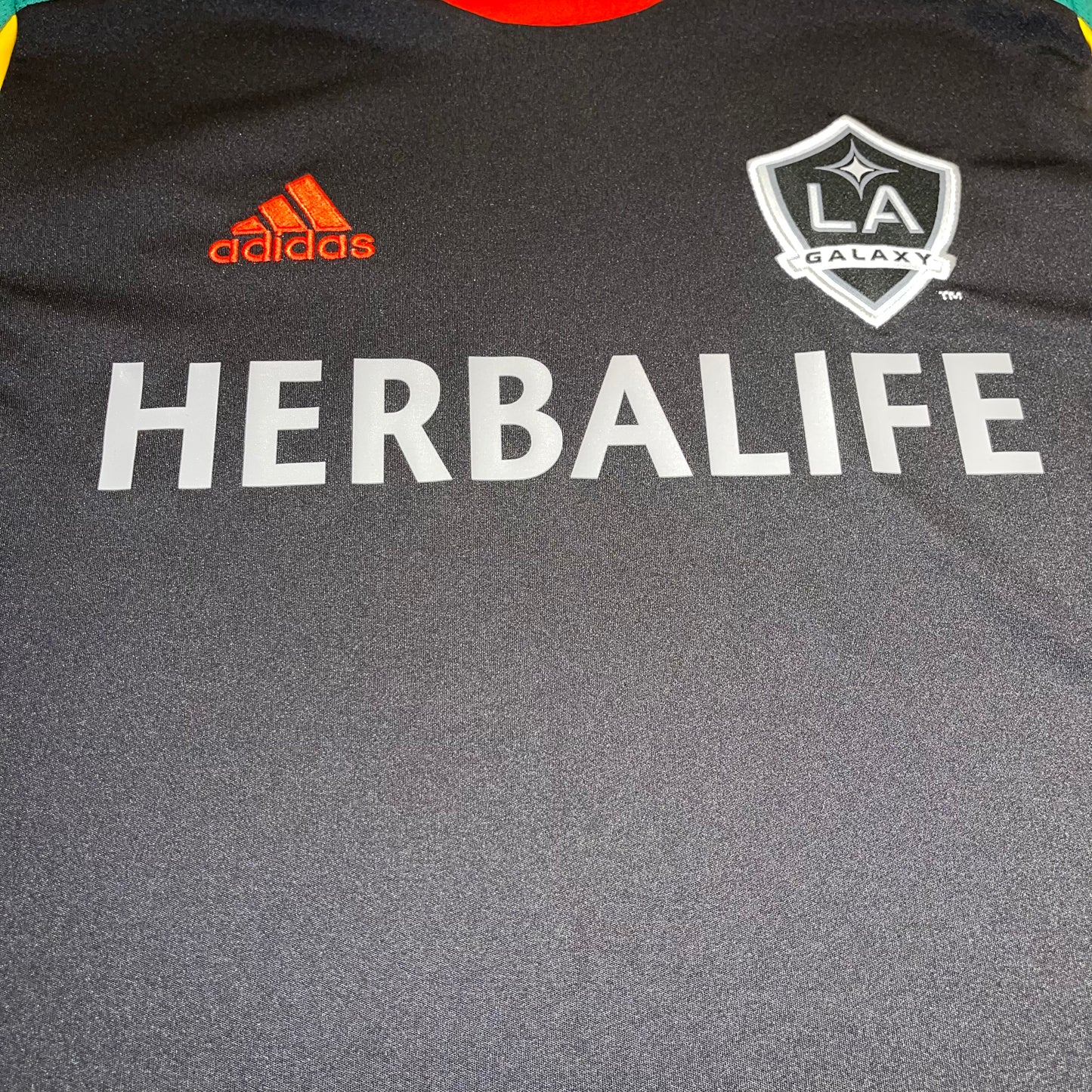 LA Galaxy 2013 Alternativa S