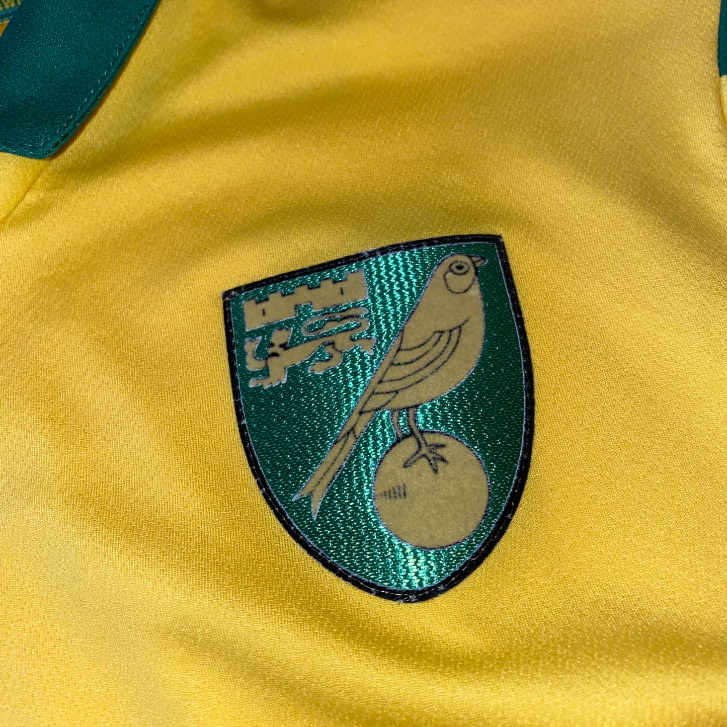 Norwich City 17/18 Local L