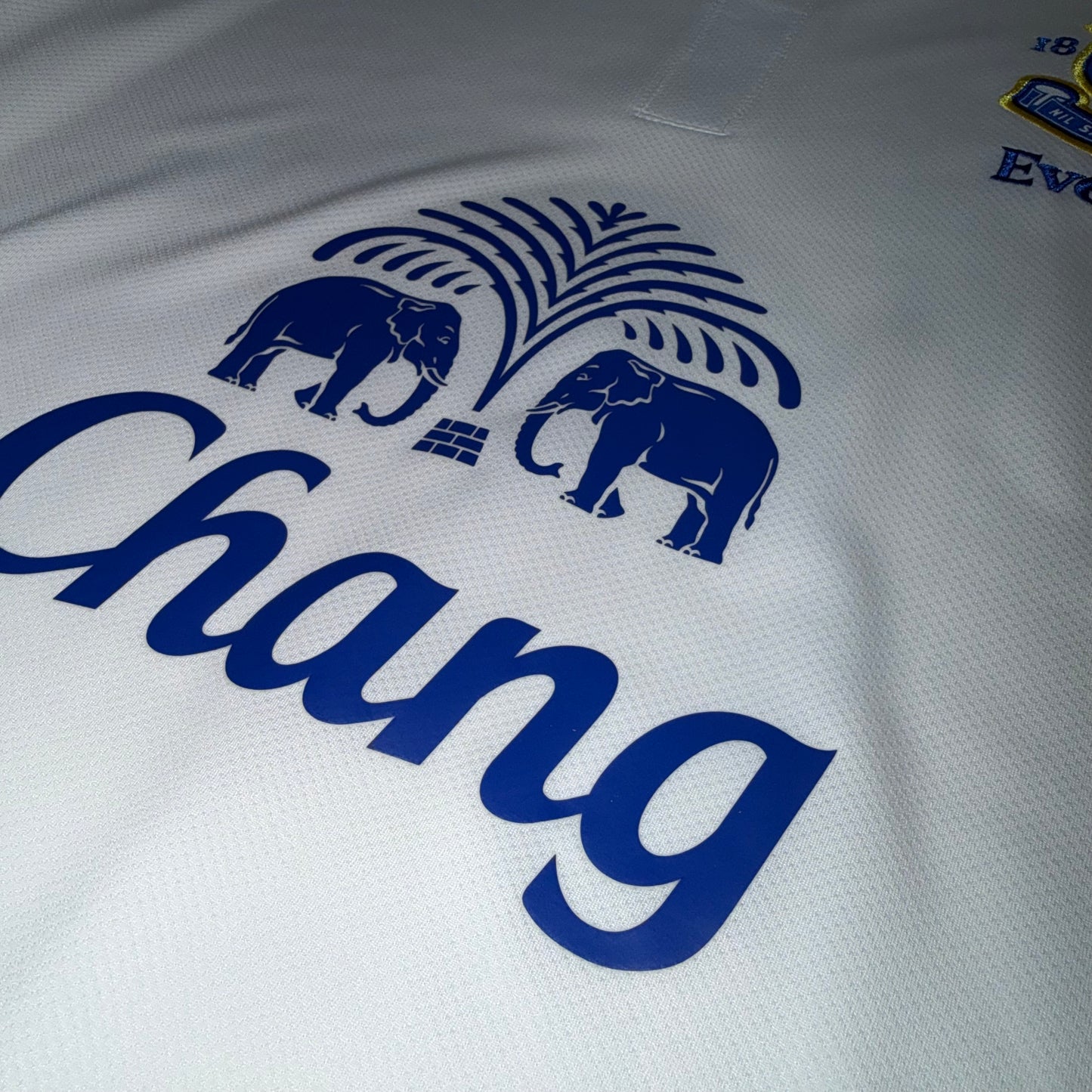 Everton 12/13 Visitante L