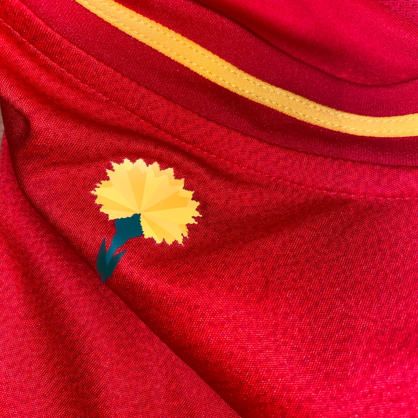 España 2024 Local M