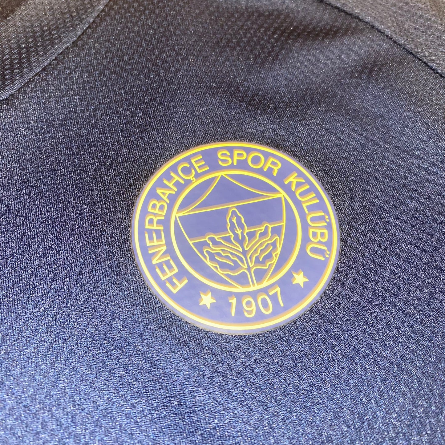 Camiseta Fenerbahce 21/22 entreno