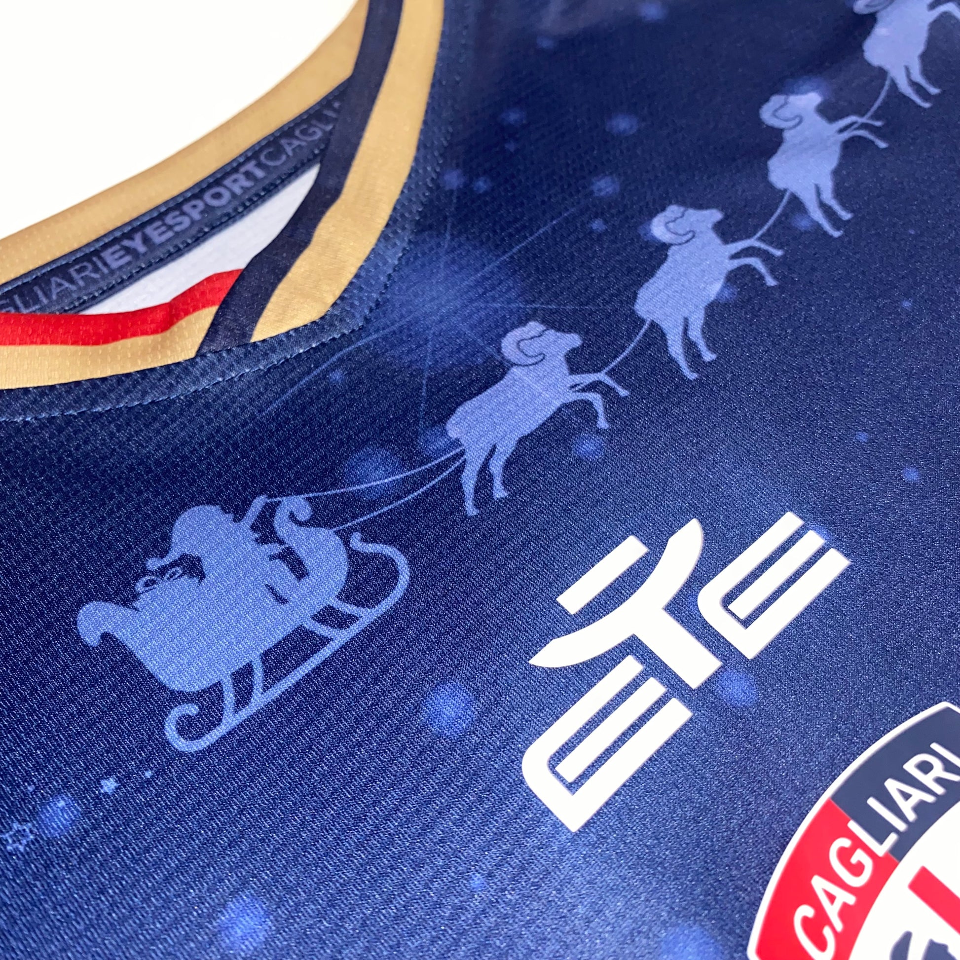 Camiseta Cagliari 23/24 prematch 