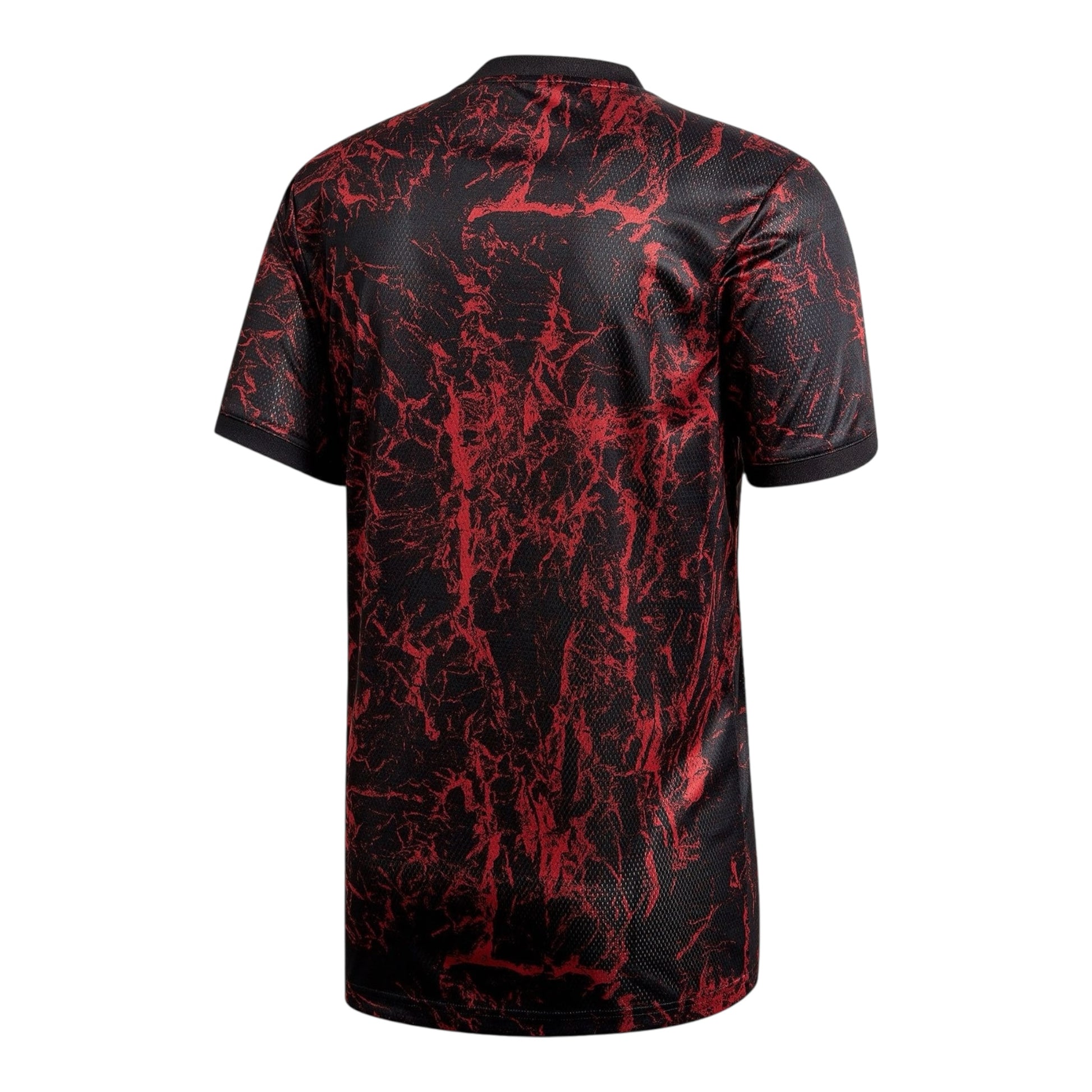 Camiseta España 2021 prematch 
