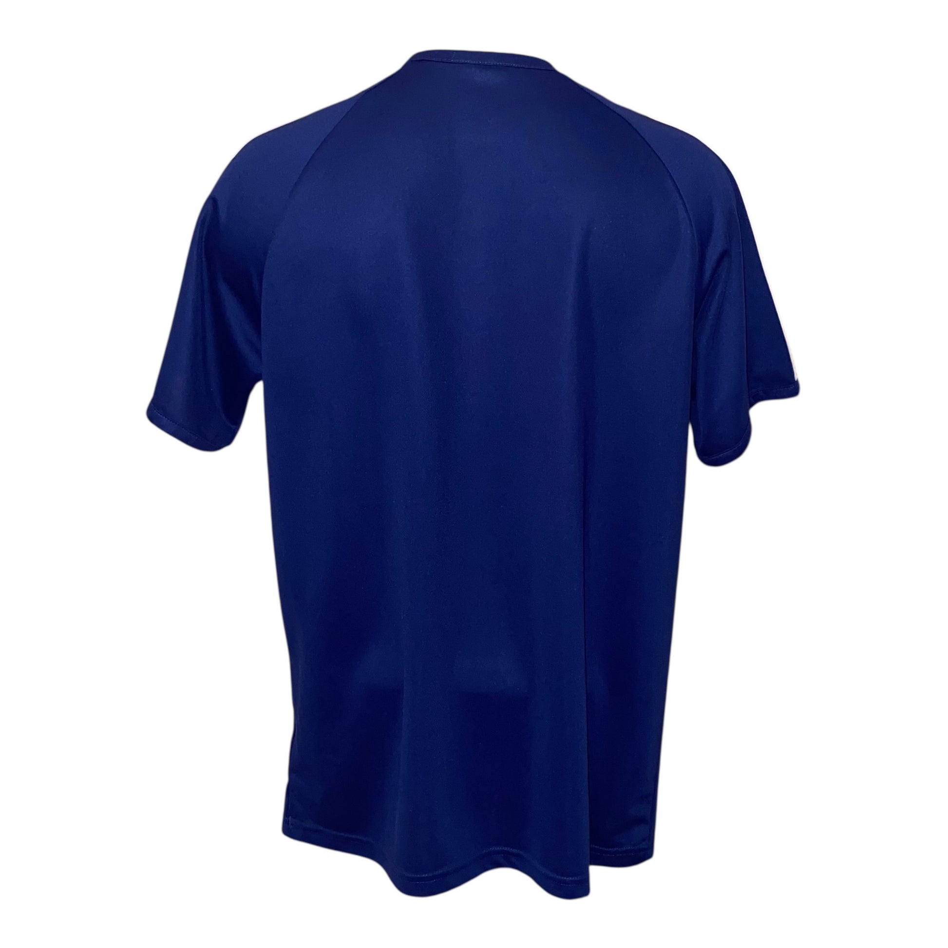 Camiseta Francia 2010 local 
