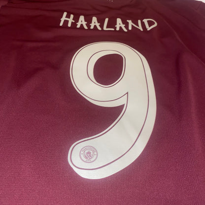 Camiseta Manchester City 24/25 halaand alternativa 