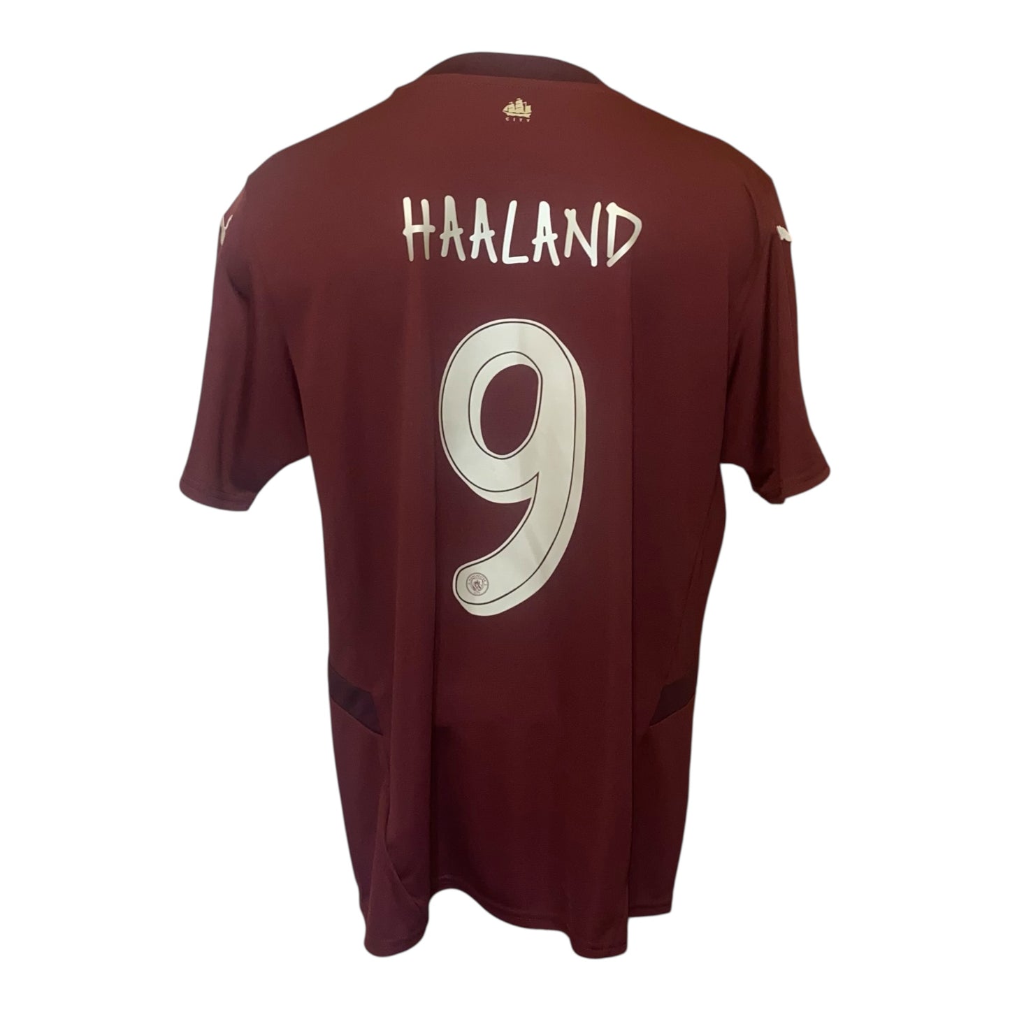 Camiseta Manchester City 24/25 halaand alternativa 