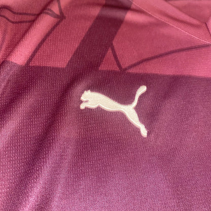 Camiseta Manchester City 24/25 halaand alternativa 