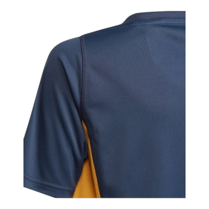 Camiseta real Madrid 23/24 entreno