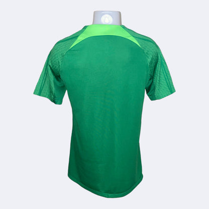 Camiseta Nigeria 2022 entreno