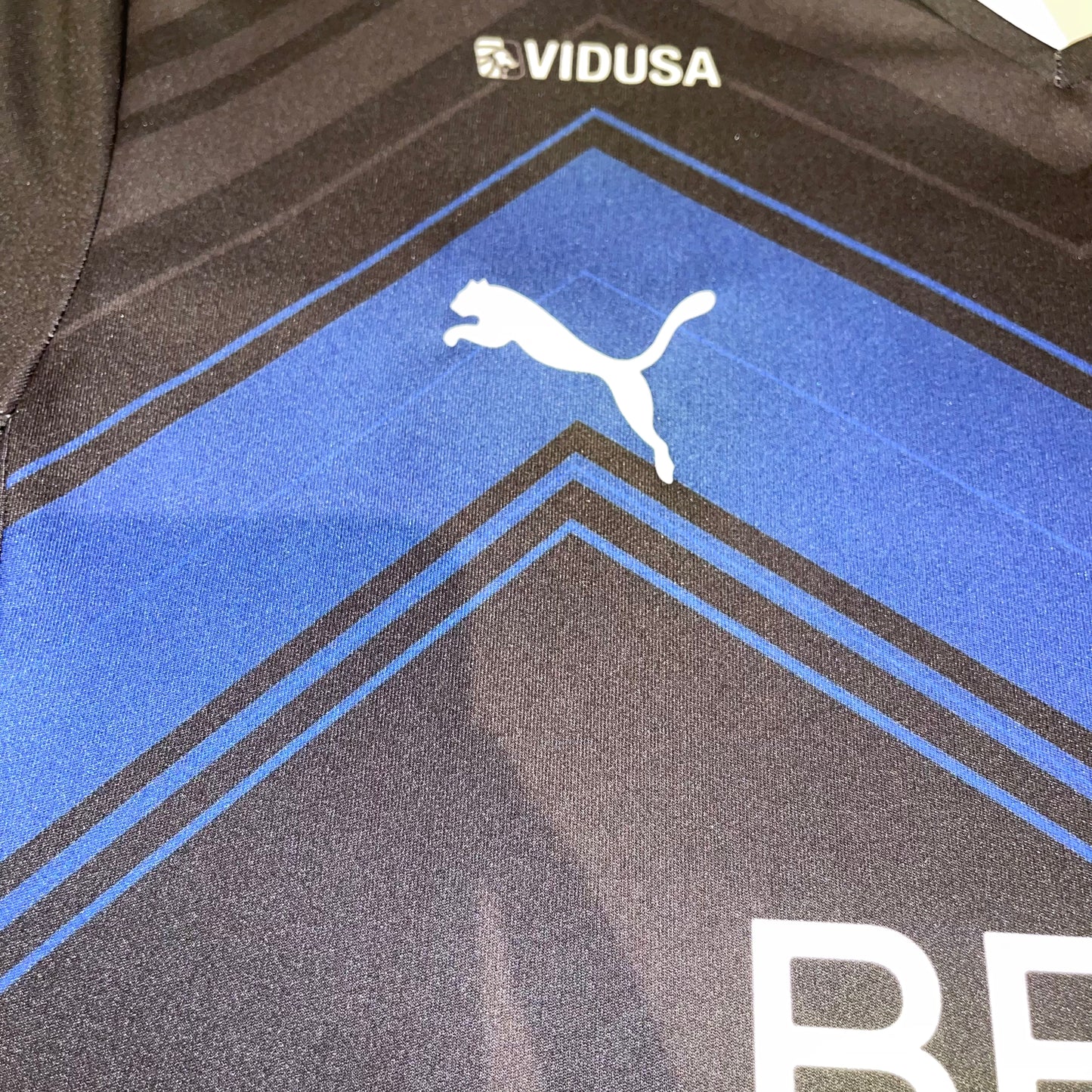 Rayados Monterrey 20/21 Alternativa L