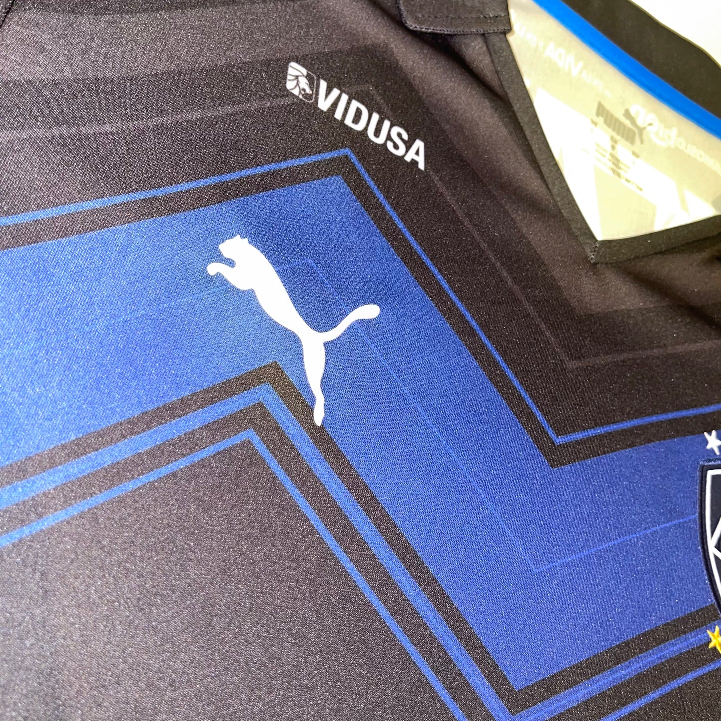 Rayados Monterrey 20/21 Alternativa L
