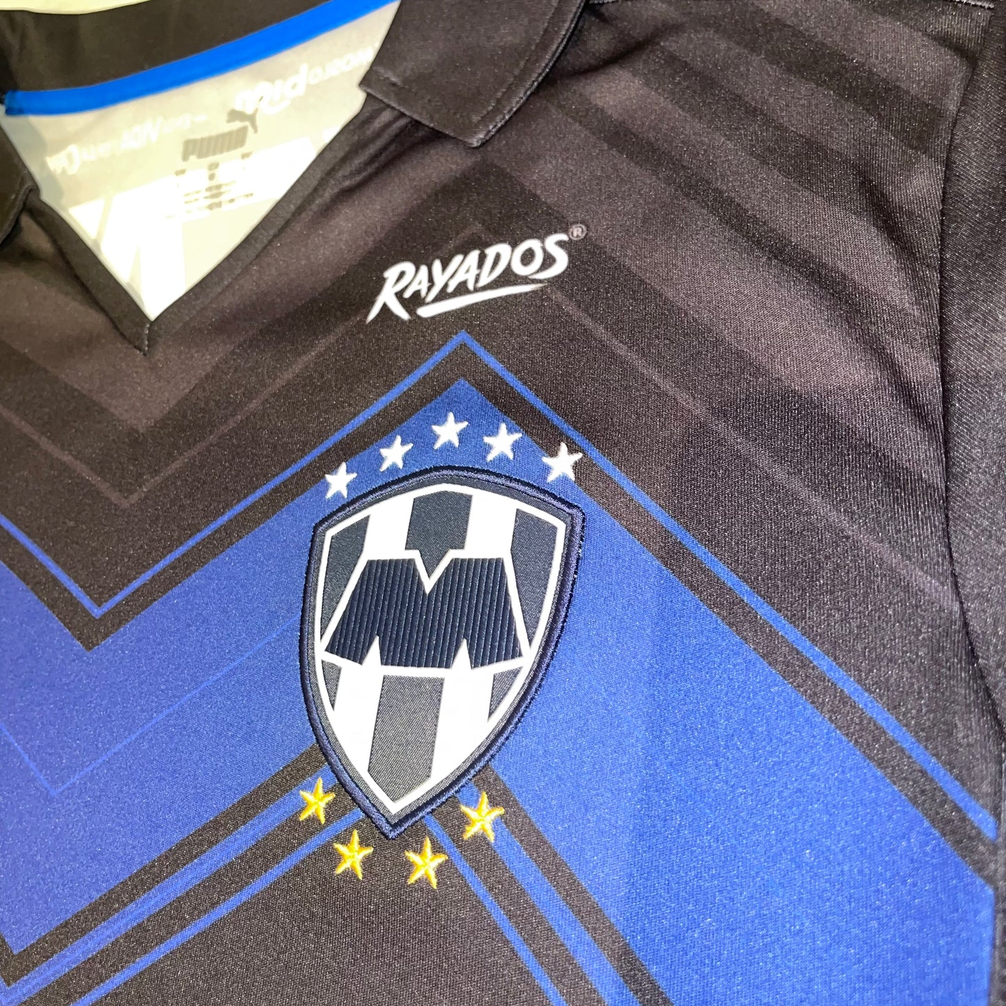 Rayados Monterrey 20/21 Alternativa L