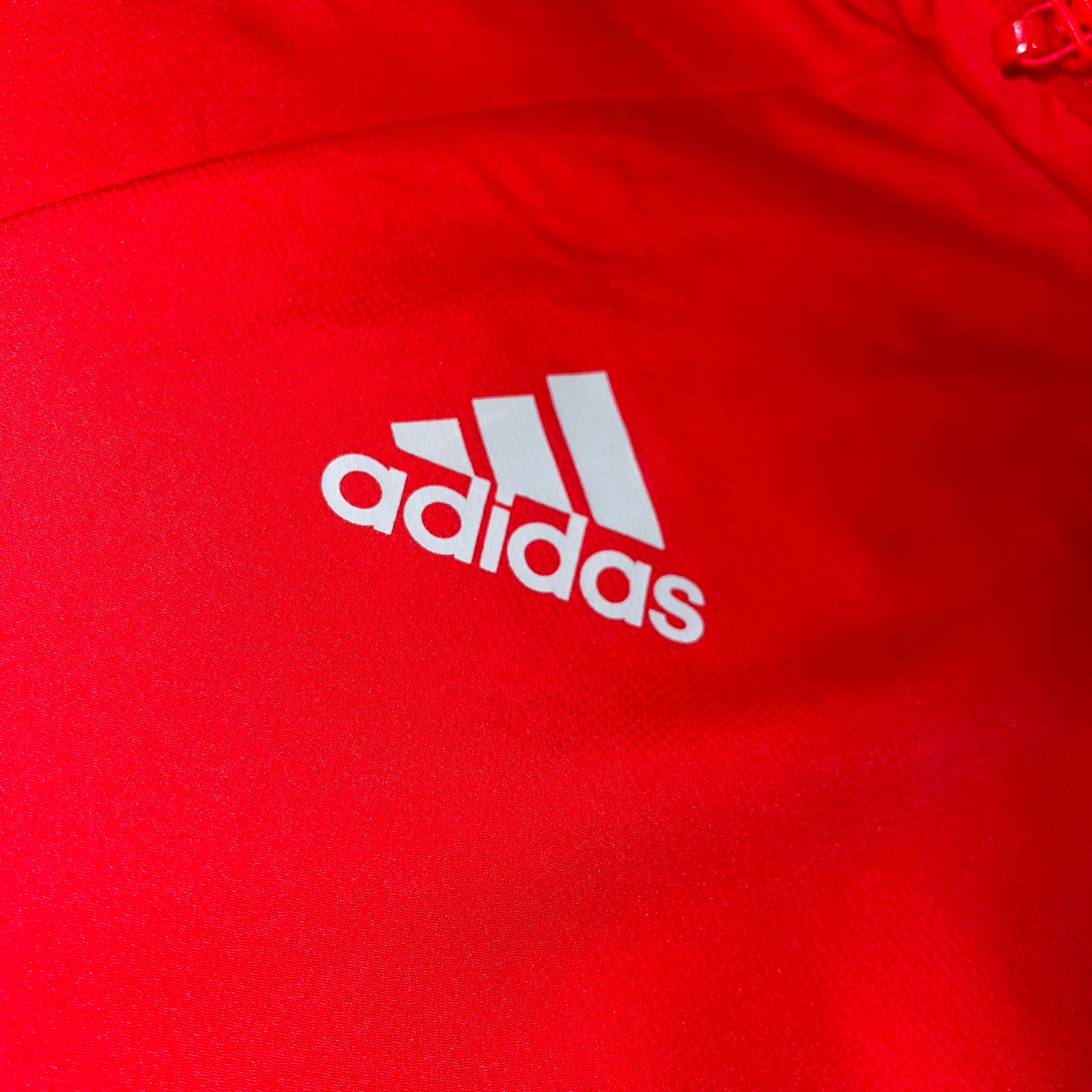 Liverpool 08/09 Chaqueta XS