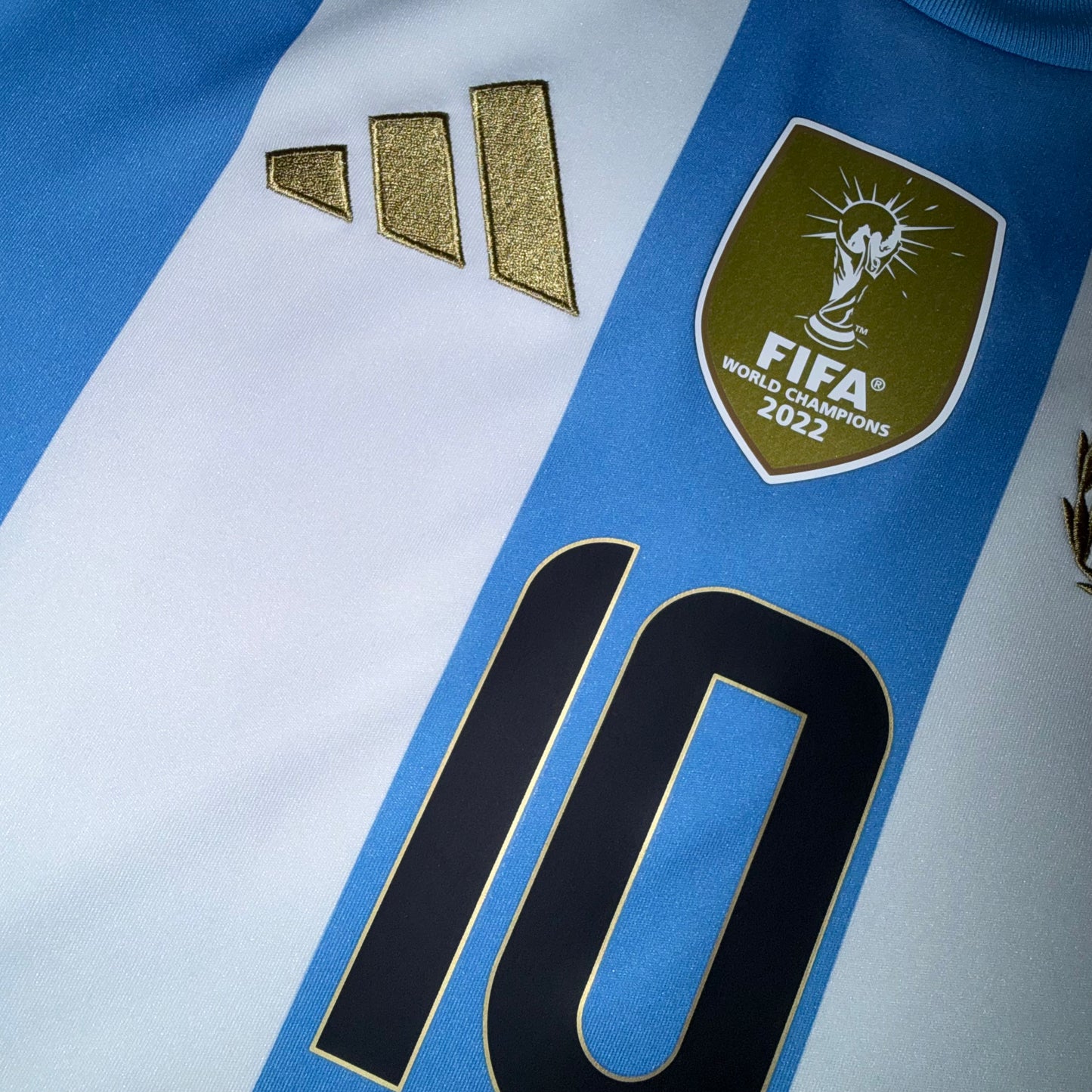 Argentina 2024 Local #10 Messi L