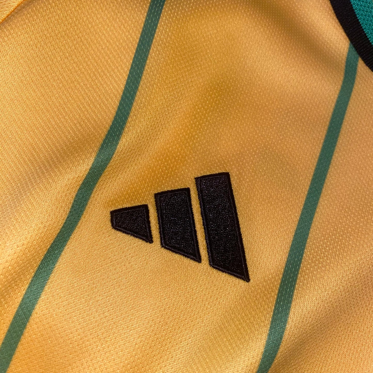 Jamaica 2022 Local #7 Bailey M