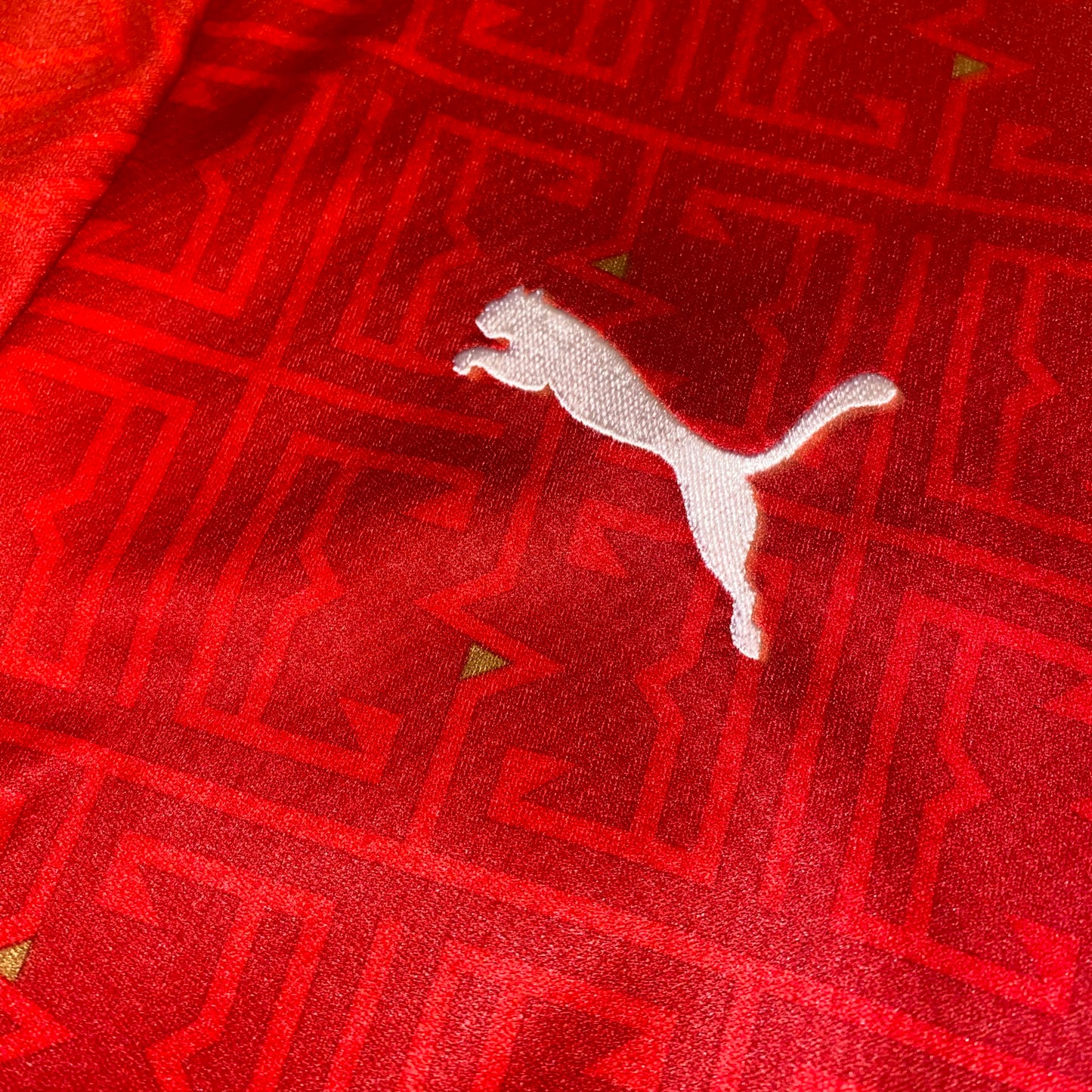 Serbia 2020 Local #10 Tadic S