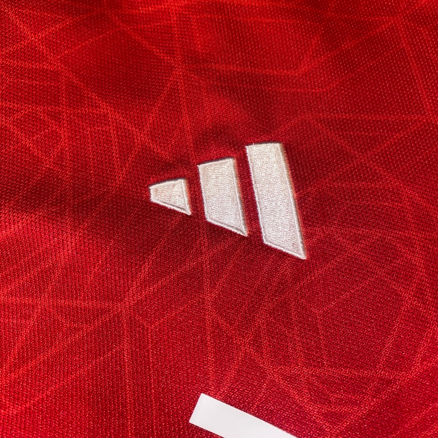 Manchester United 23/24 Local L