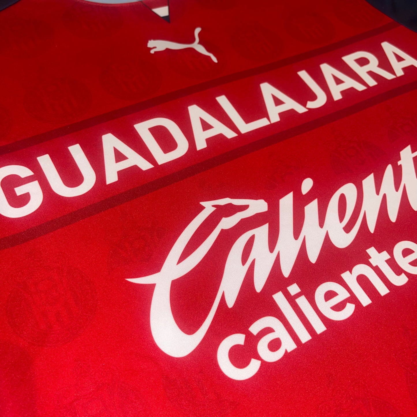 Chivas de Guadalajara 21/22 Alternativa L