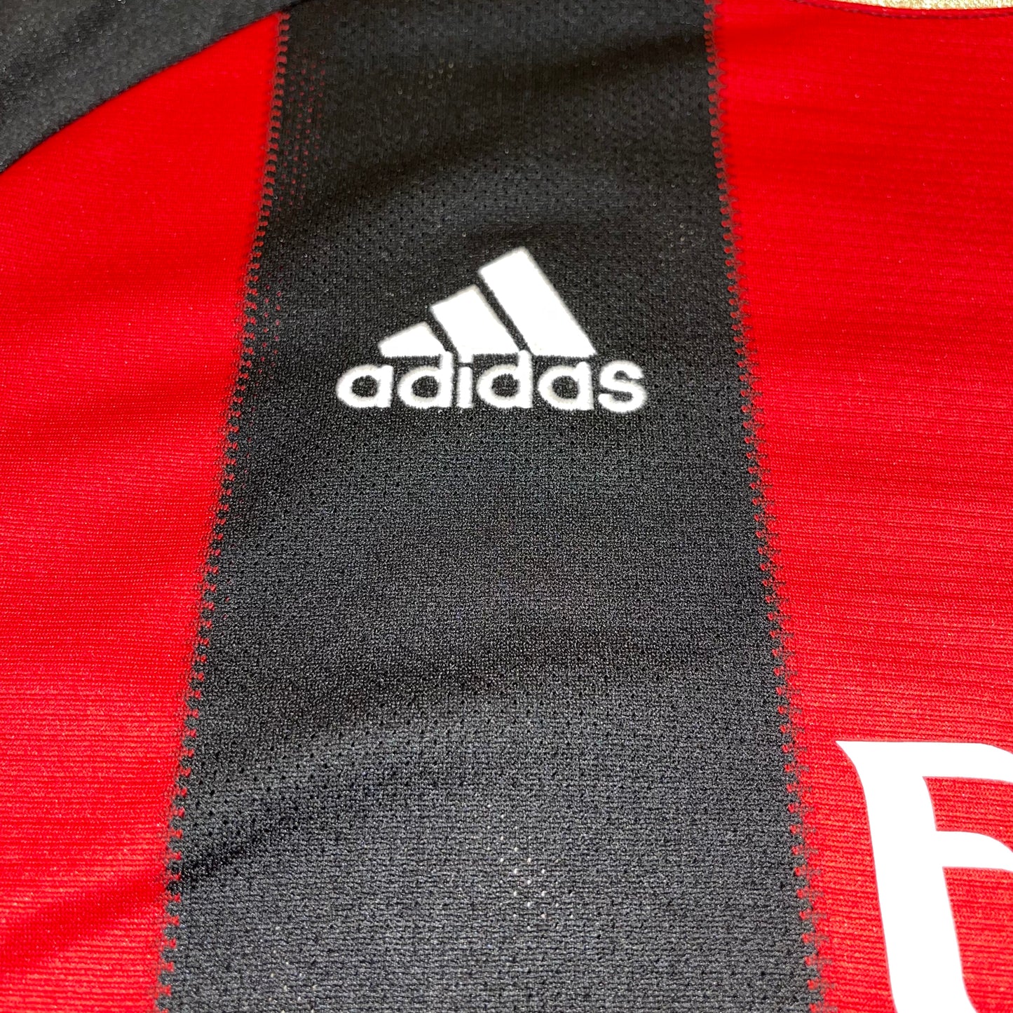 AC Milan 10/11 Local M