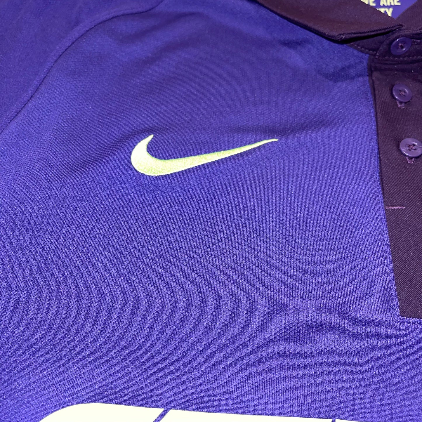 Manchester City 14/15 Alternativa L