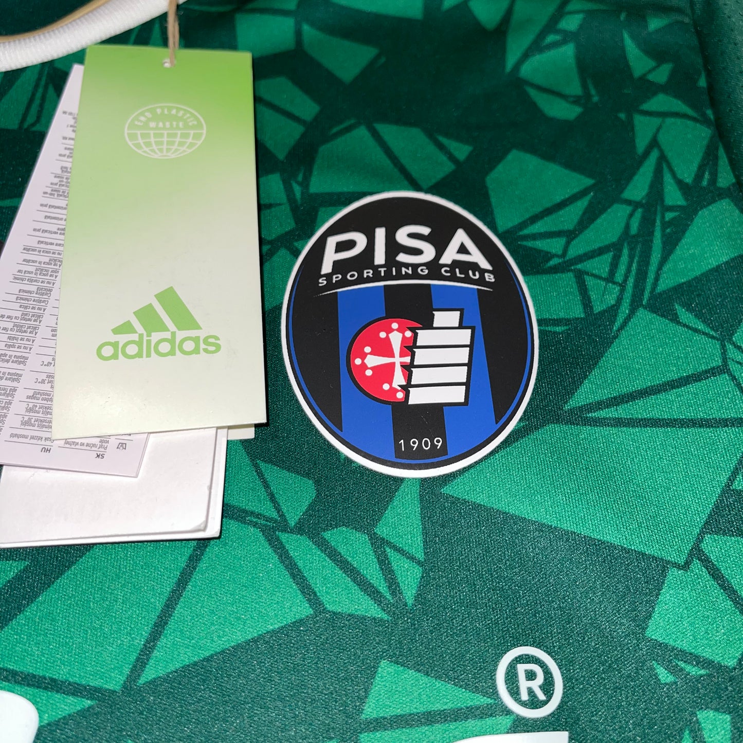 Pisa 21/22 Alternativa M