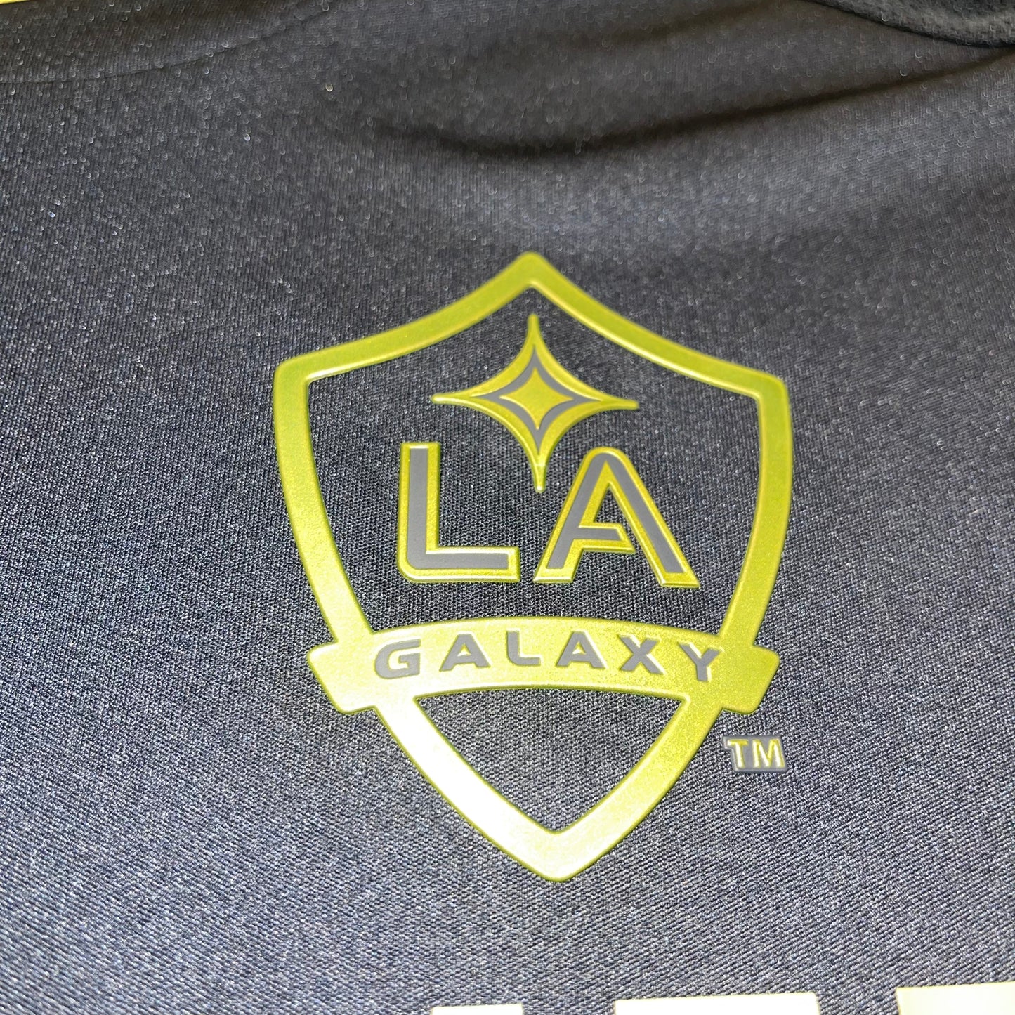 LA Galaxy 2011 Alternativa S