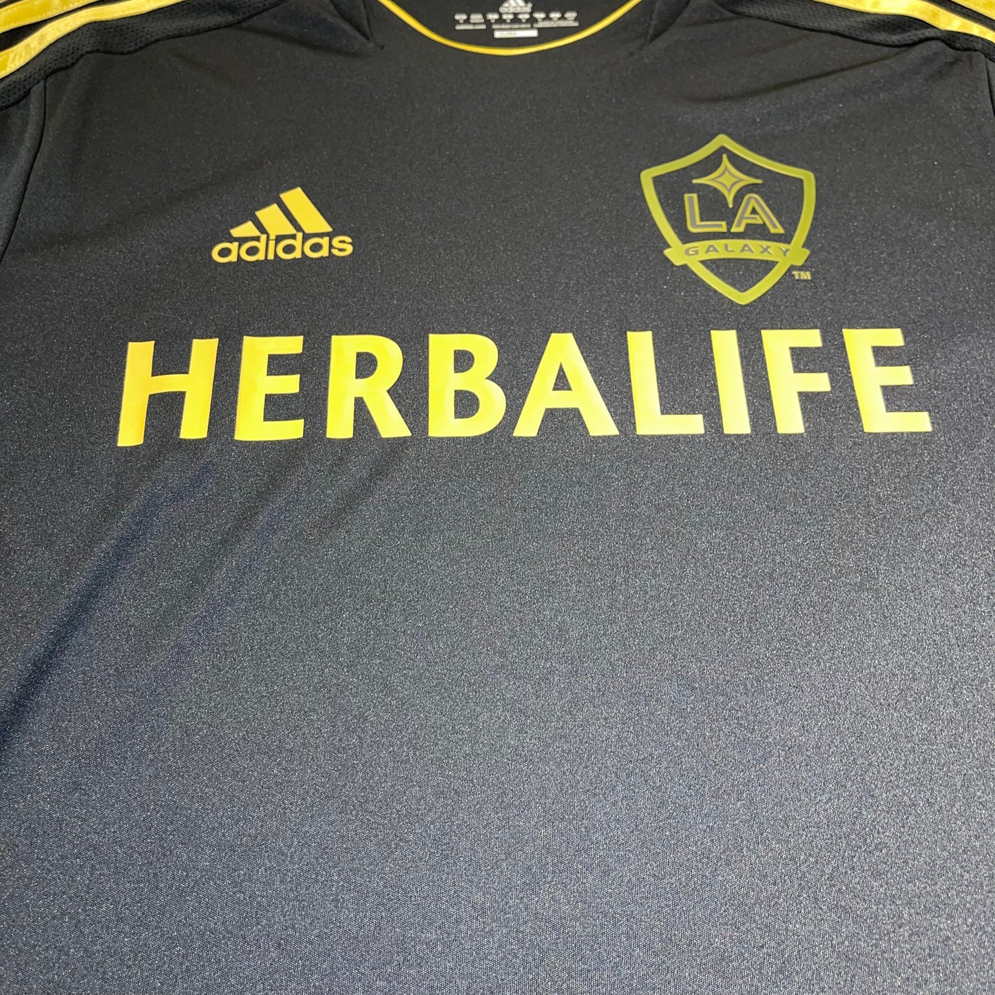 LA Galaxy 2011 Alternativa S