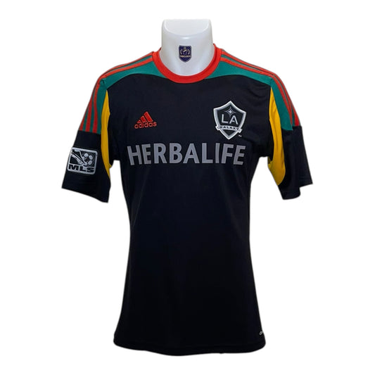 LA Galaxy 2013 Alternativa S