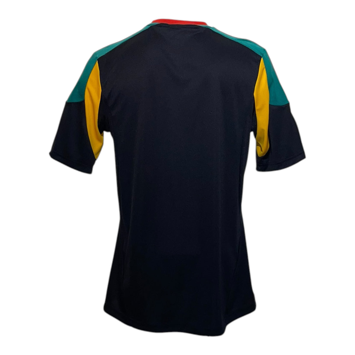 LA Galaxy 2013 Alternativa S