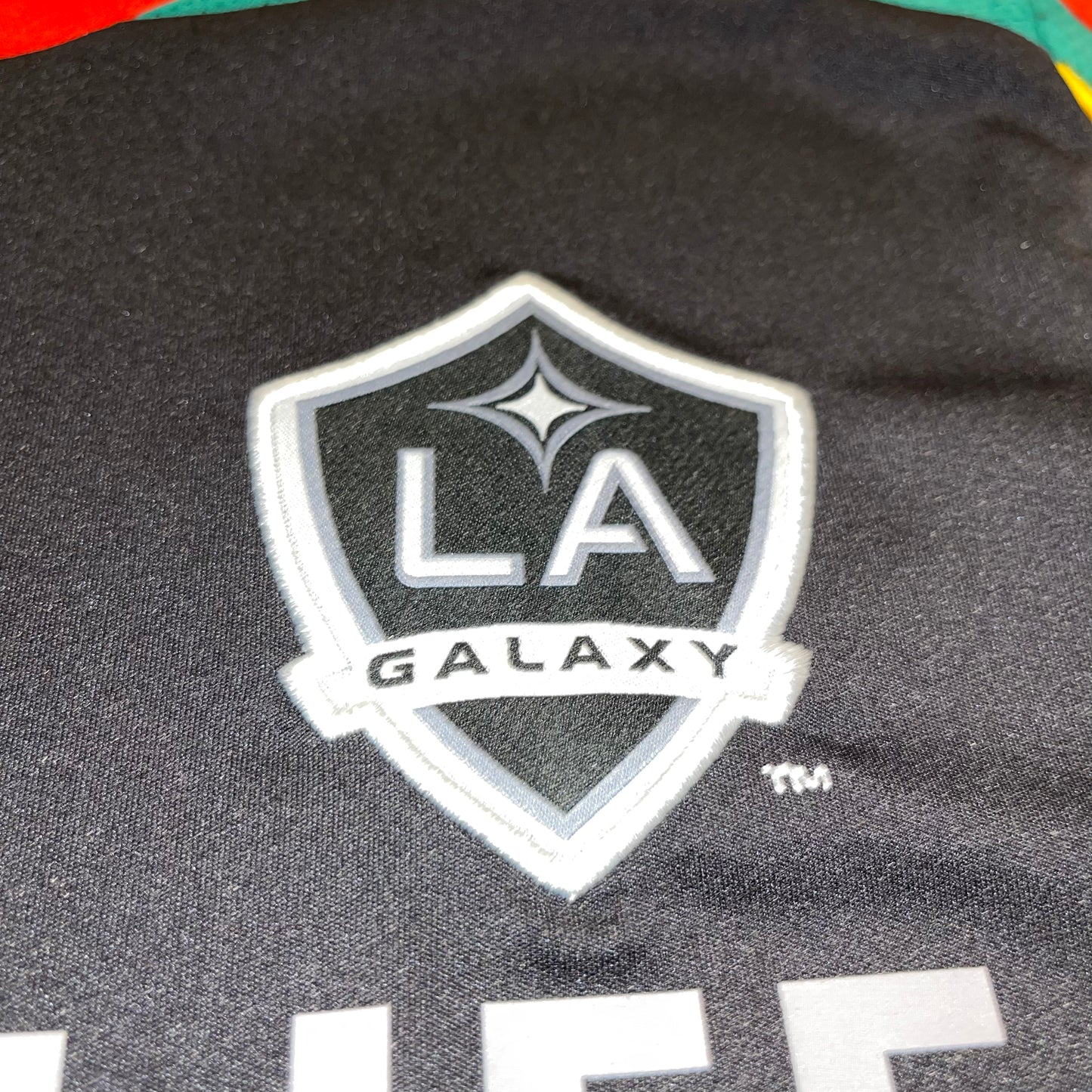 LA Galaxy 2013 Alternativa S