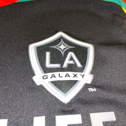 LA Galaxy 2013 Alternativa S