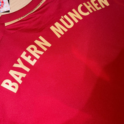Bayern Munich 11/12 Local L