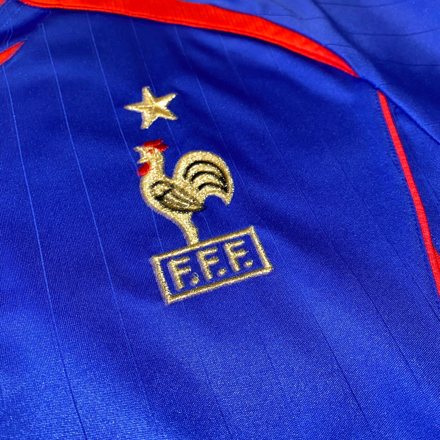 Francia 2006 local #10 Zidane 176