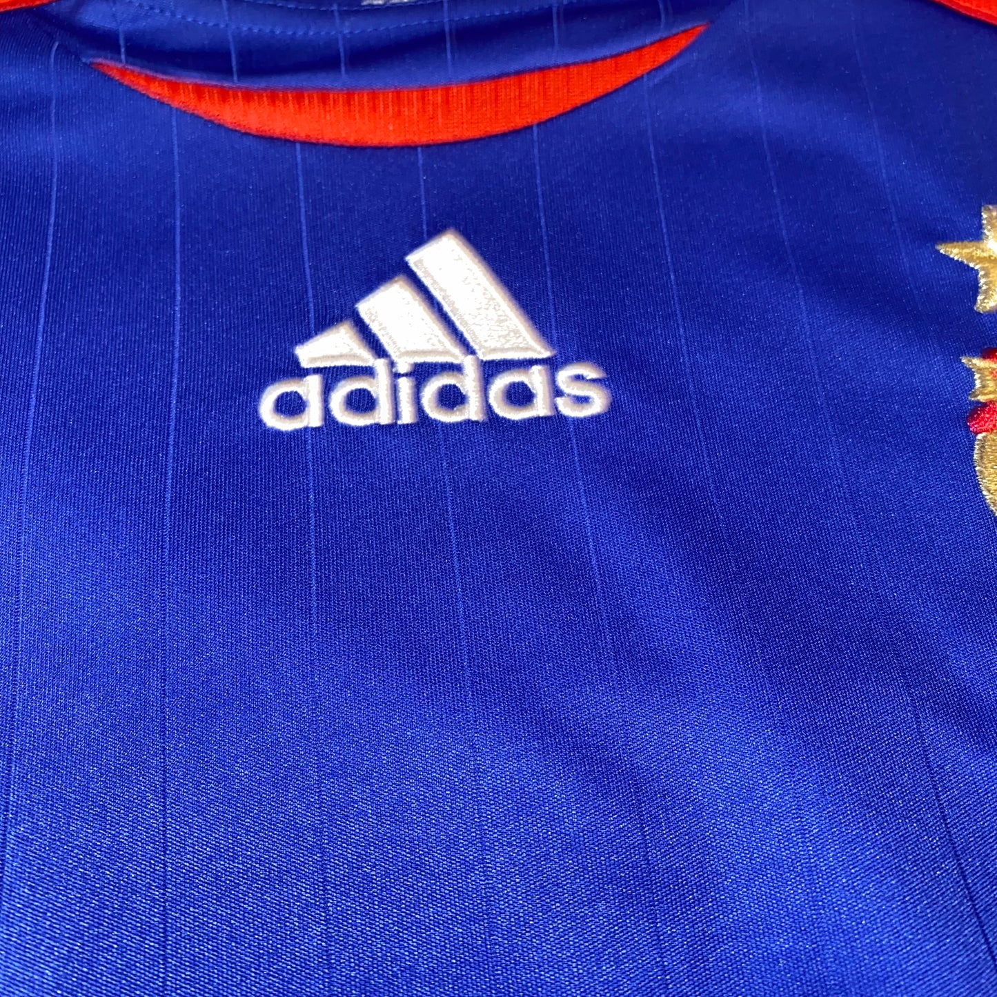 Francia 2006 local #10 Zidane 176