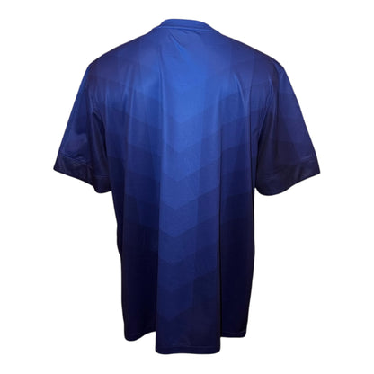 Holanda 2014 Visitante XL