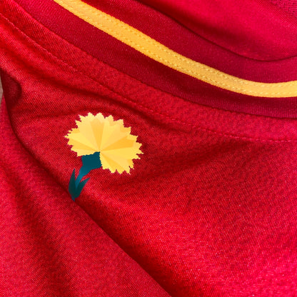 España 2024 Local M