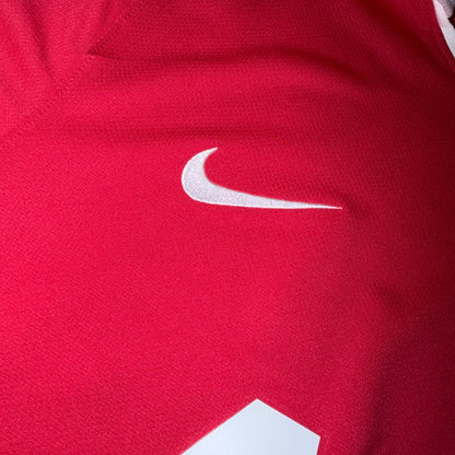 Manchester United 10/11 Local #17 Nani L