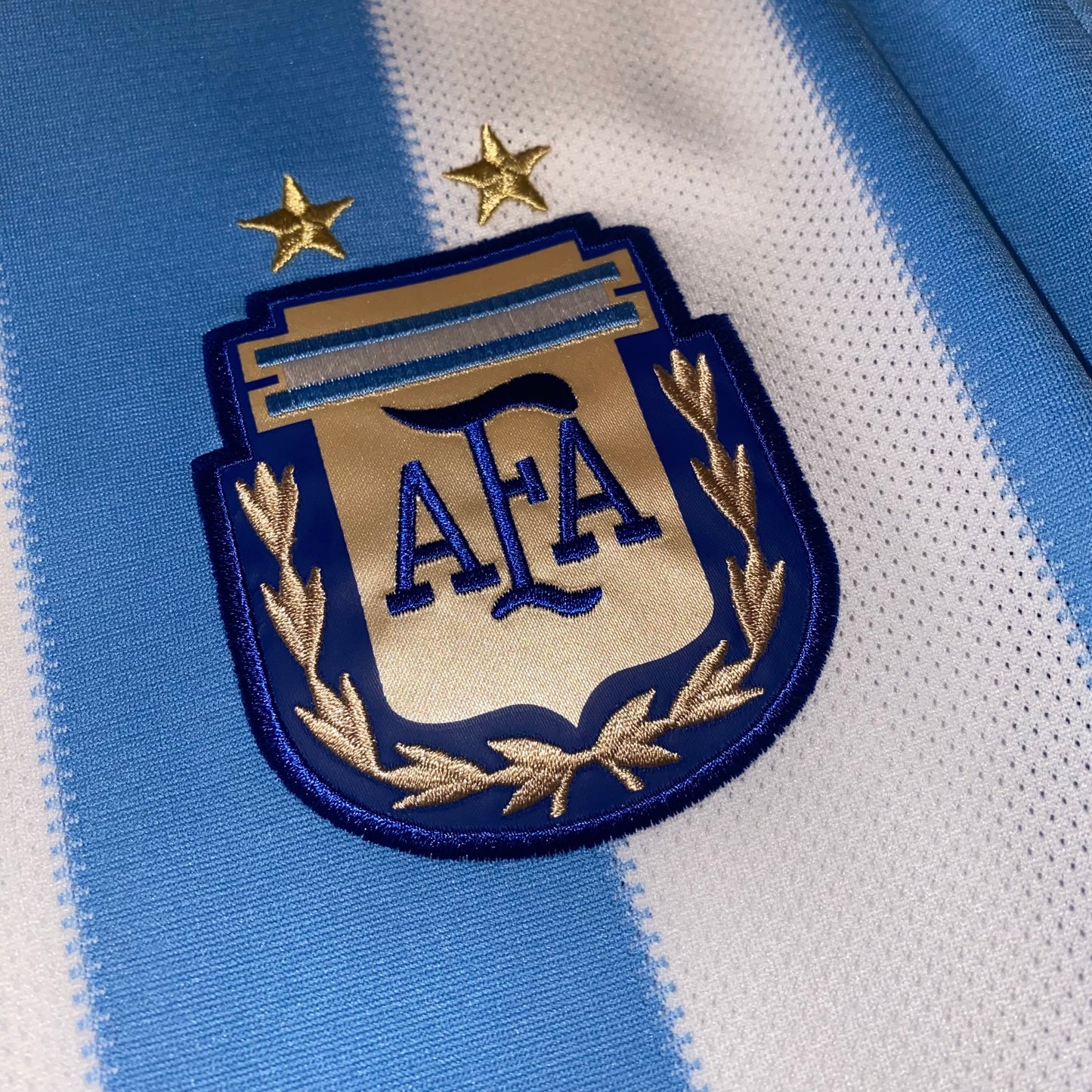 Argentina 2010 Local #10 Messi M